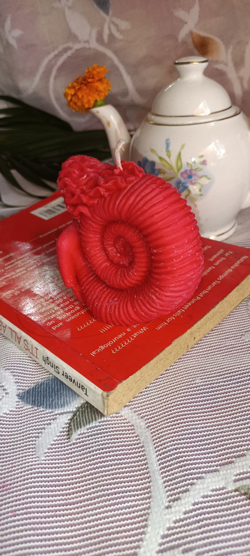 Snail Candle