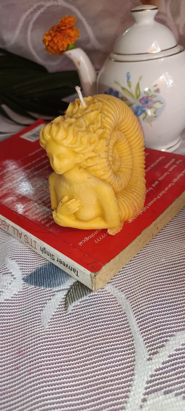 1000114875_69b8dc01-da35-4f39-b0ea-95d18d55e250-4x