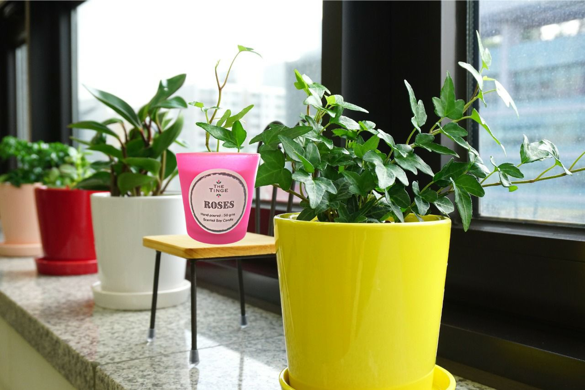 img-20220917-wa0034_d58e47bf-20c1-4020-8ffe-ee16610fc9a6-4x